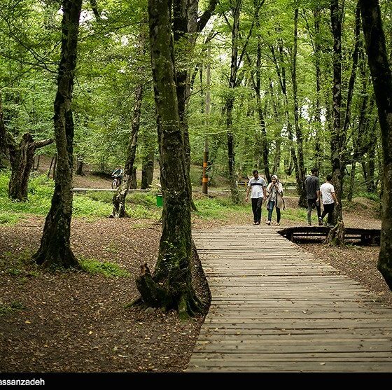 ذخیره‌ 3.5 میلیون لیتر آب باران برای کمربند سبز اراک