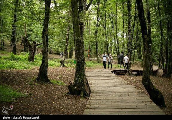 ذخیره‌ 3.5 میلیون لیتر آب باران برای کمربند سبز اراک