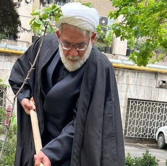 رئیس دیوان عالی یک اصله نهال مثمر در دادگستری کاشت
