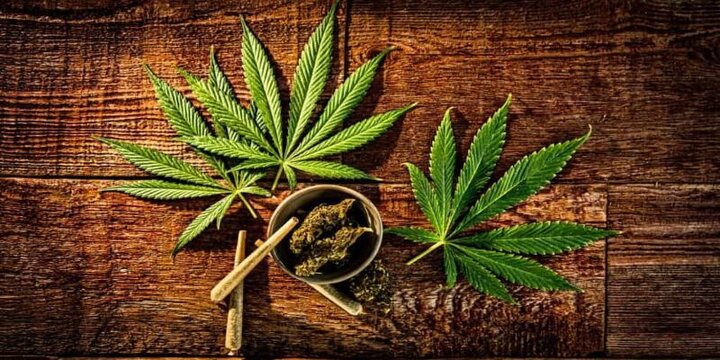 زدن این گل؛ گل به خودی است!