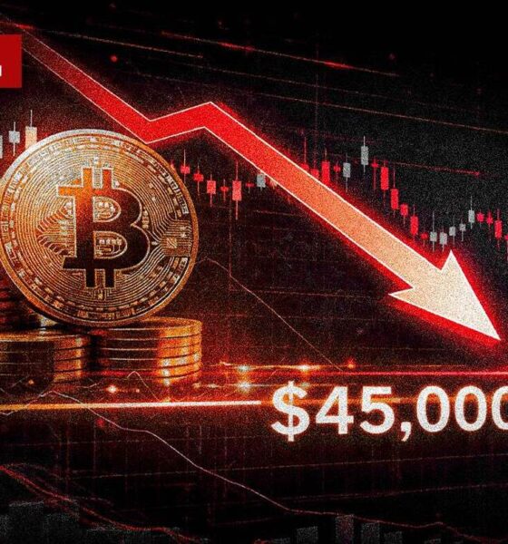 سیگنال‌های آماری علیه پادشاه کریپتو؛ تکمیل پازل نزولی بیت‌کوین