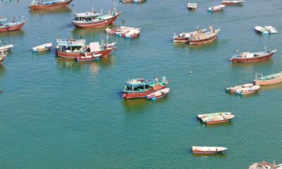 صیادان بوشهر؛ نگهبانان بی‌صدای خلیج فارس در روزهای التهاب و جنگ