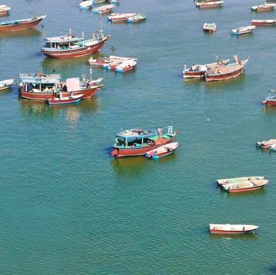 صیادان بوشهر؛ نگهبانان بی‌صدای خلیج فارس در روزهای التهاب و جنگ