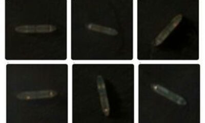 عبور ۴ نفتکش ایرانی از محاصره دریایی آمریکا + عکس