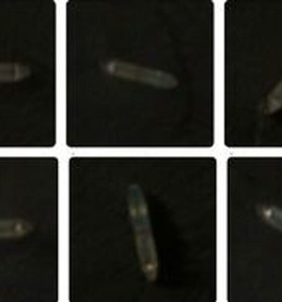 عبور ۴ نفتکش ایرانی از محاصره دریایی آمریکا + عکس