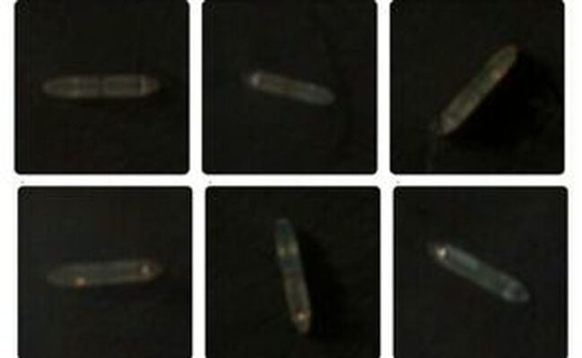 عبور ۴ نفتکش ایرانی از محاصره دریایی آمریکا + عکس