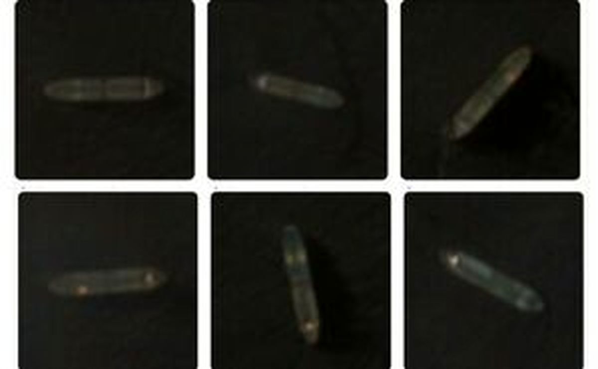 عبور ۴ نفتکش ایرانی از محاصره دریایی آمریکا + عکس