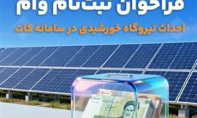 محبی‌نجم‌آبادی: سامانه کات اقدامی کارشناسی‌شده برای حفظ اشتغال است