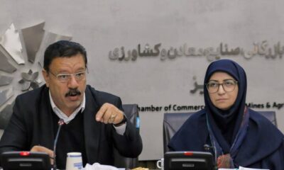 محمدی: توسعه صنعتی و حفظ محیط‌زیست همزمان قابل تحقق است