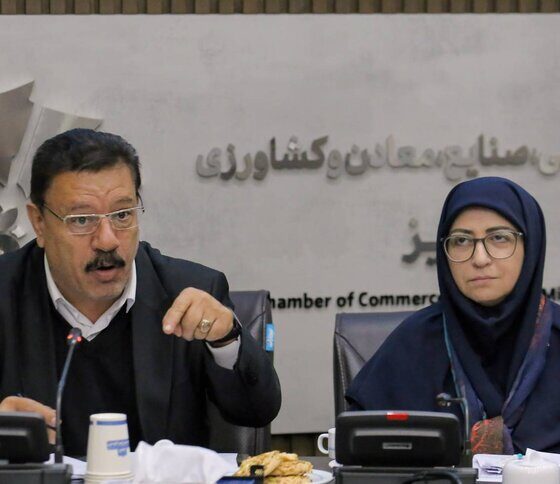 محمدی: توسعه صنعتی و حفظ محیط‌زیست همزمان قابل تحقق است