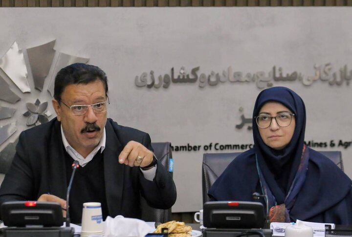 محمدی: توسعه صنعتی و حفظ محیط‌زیست همزمان قابل تحقق است