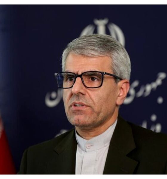 محکومیت اقدام امارات از سوی سخنگوی وزارت خارجه ایران