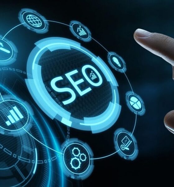 مرثیه‌ای برای یک خزنده؛ سئو در عصر "اینترنتِ محصور"