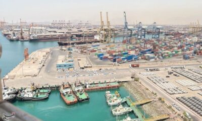 معاون وزیر اقتصاد: 3 میلیون تن کالای اساسی از بنادر و گمرکات ترخیص شد‌