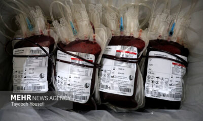 میرزاده: تیم سیار انتقال خون در سرپل‌ذهاب مستقر می‌شود