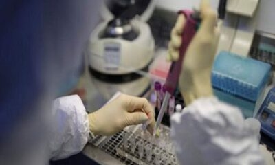 ناظمیان‌پور: ۳۷ هزار تست آزمایشگاهی در «دیر» انجام شد