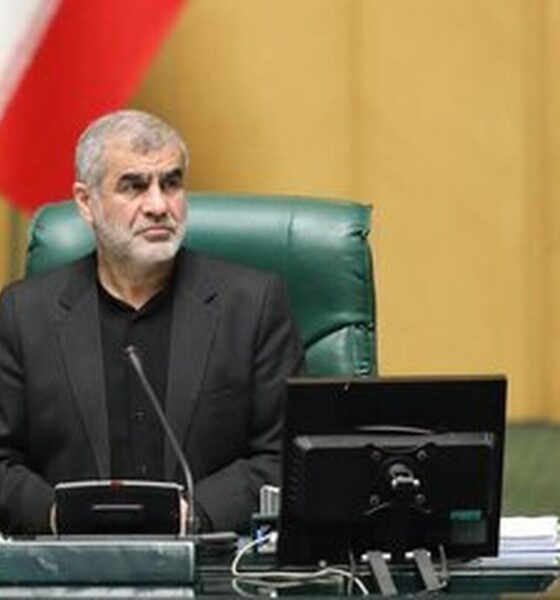 نایب رئیس مجلس: دیپلماسی عرصه پذیرش واقعیت‌هاست نه املا کردن آرزوها