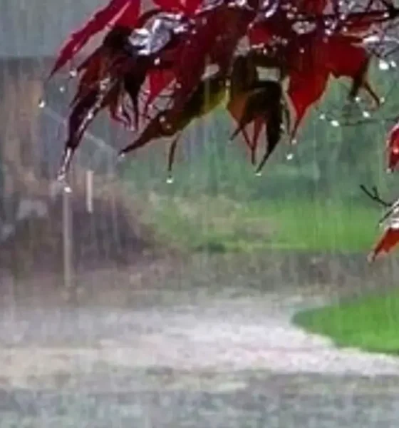 هشدار جدی هواشناسی صادر شد/ بارش‌های پراکنده و ورزش باد مهمان این استان