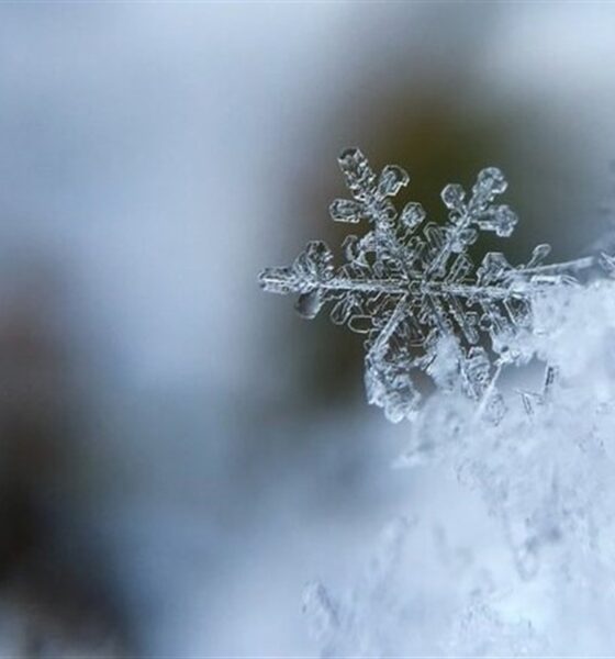 هشدار مهم برای این استان‌ها / سامانه بارشی جدید از فردا فعال می‌شود