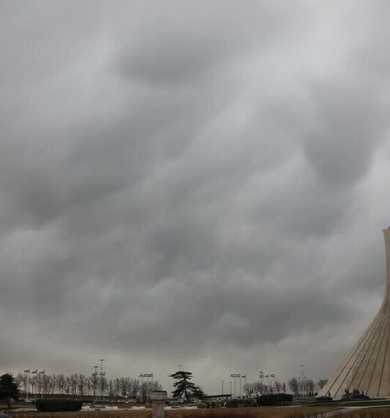 هواشناسی هشدار داد/ باد شدید و احتمال گردوخاک