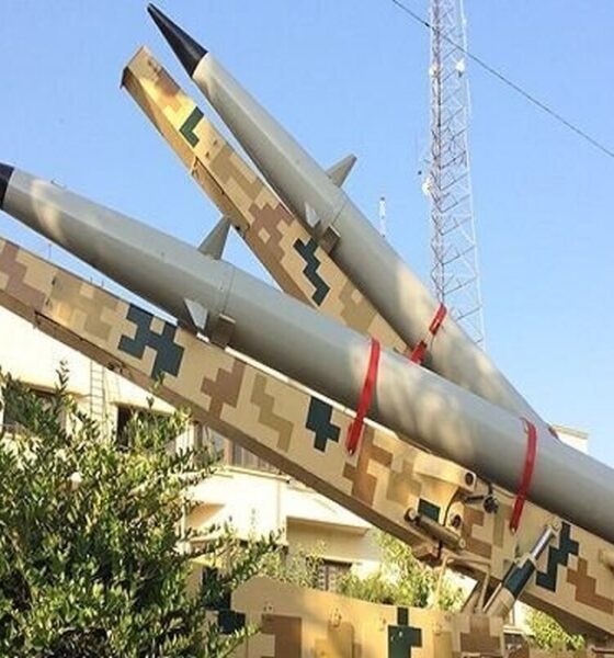 ورود فرهنگستان زبان و ادب فارسی به جنگ