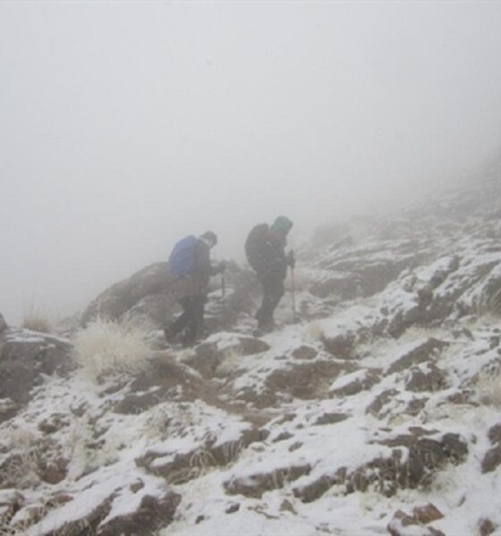 پیش‌بینی جوی مناطق کوهستان کشور تا پایان هفته / افزایش دما و وزش باد شدید در راه است