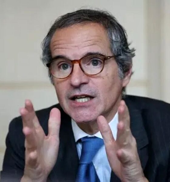 پیش‌بینی گروسی درمورد تغییر رویکرد شورای امنیت درمورد ایران