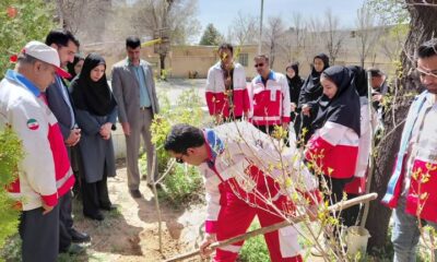 کاشت ۹ هزار و ۹۲۱ اصله نهال در چهارمحال و بختیاری