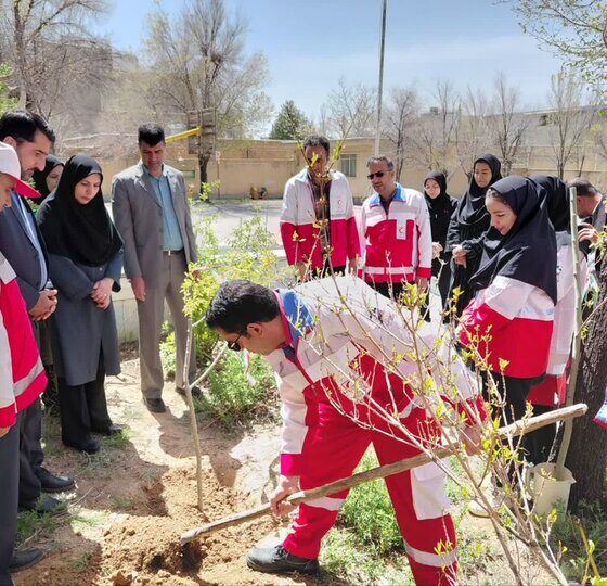 کاشت ۹ هزار و ۹۲۱ اصله نهال در چهارمحال و بختیاری