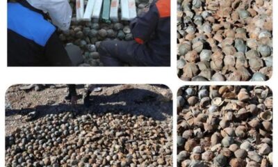 کشف و خنثی‌سازی ۹ هزار و پانصد بمبلت بجامانده از جنگ + عکس