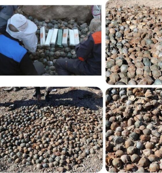 کشف و خنثی‌سازی ۹ هزار و پانصد بمبلت بجامانده از جنگ + عکس