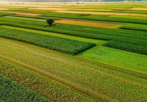 ‌گلستان 38 روز از غذای کشور را تامین می‌کند