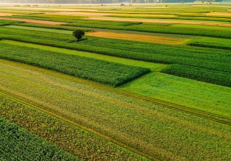 ‌گلستان 38 روز از غذای کشور را تامین می‌کند