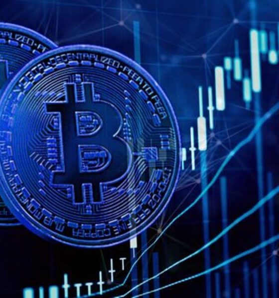 آخرین وضعیت بازار رمزارزها در جهان / بیت‌کوین صعود کرد