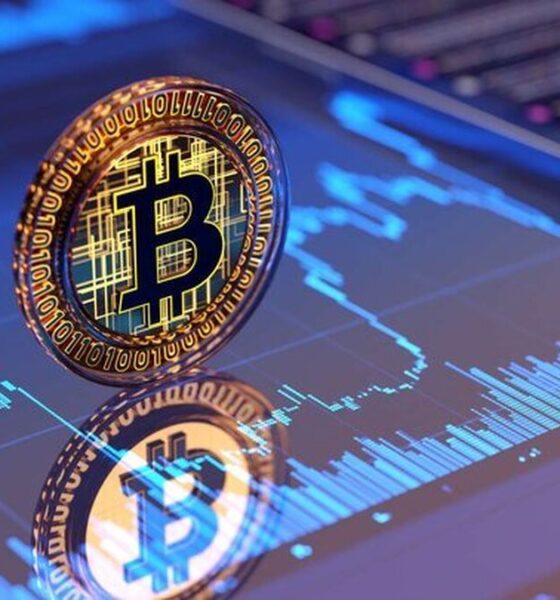 آخرین وضعیت بازار رمزارزها در جهان / قیمت بیت‌کوین صعود کرد