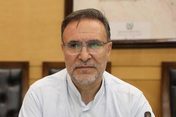 آریایینژاد: نظارتهای دارویی نیازمند اصلاح و بازنگری است آریایینژاد: نظارتهای دارویی نیازمند اصلاح و بازنگری است