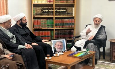آیت‌الله سبحانی: شهیدلاریجانی فردی دلسوز به نظام، انقلاب و روحانیت بود