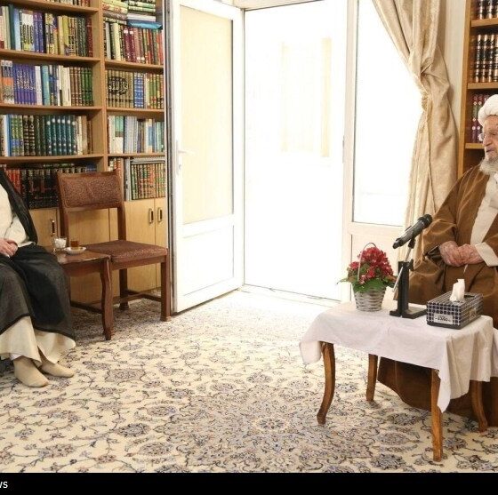 آیت‌الله مکارم‌شیرازی: قدردان دولت هستیم، اما قیمت‌ها کنترل نشد