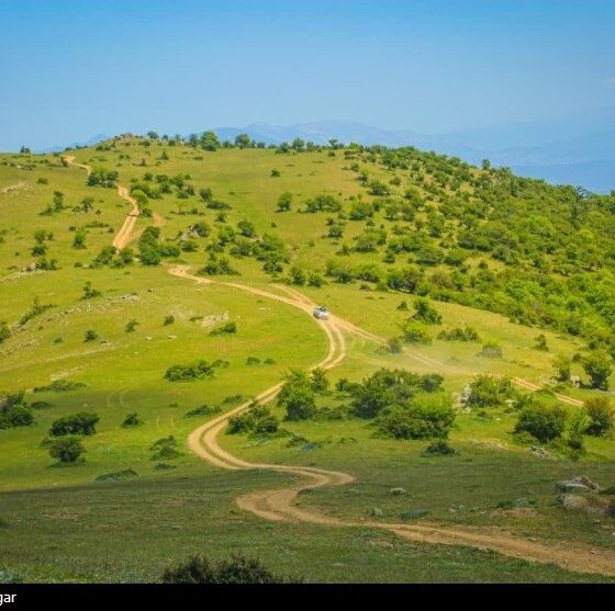 احیای 20 میلیون هکتار مرتع؛ واگذاری 20 ساله مراتع به بهره‌برداران