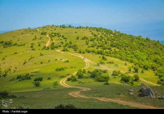 احیای 20 میلیون هکتار مرتع؛ واگذاری 20 ساله مراتع به بهره‌برداران