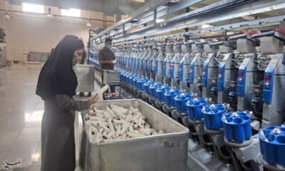 احیای اشتغال؛ اولویت راهبردی بازسازی اقتصادی