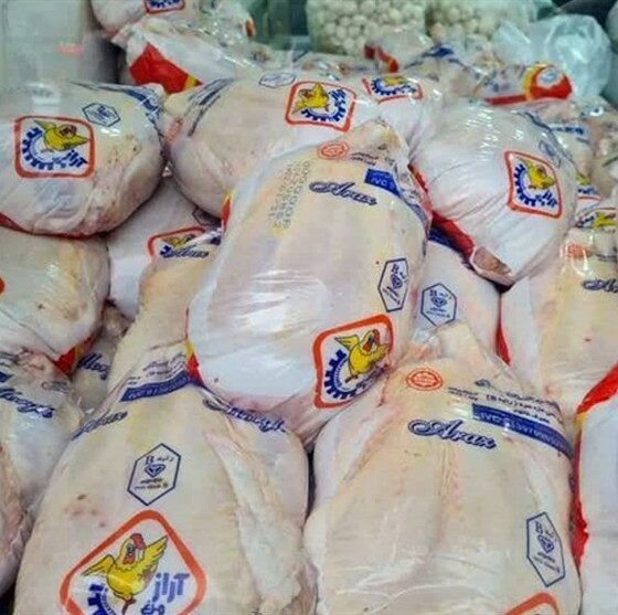 بازار مرغ کردستان در چنگ دلالان؛ پشت پرده مرغ 700 هزار تومانی چیست؟