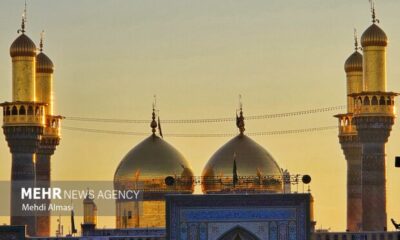 بازخوانی دکترین وکالت و مواسات در سیره امام جواد (ع)