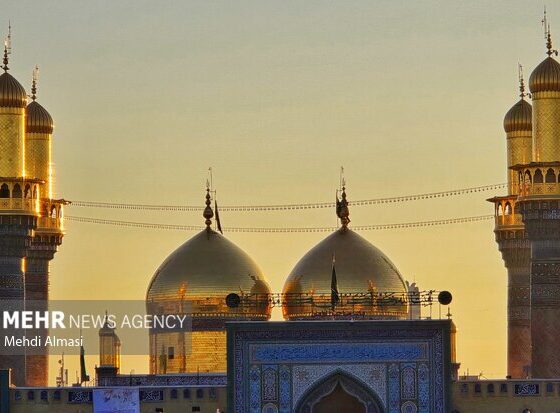بازخوانی دکترین وکالت و مواسات در سیره امام جواد (ع)