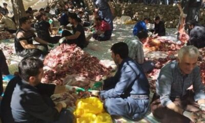 «بانه‌وره»؛ گنجینه ناملموس وحدت و عدالت در آیین قربانی
