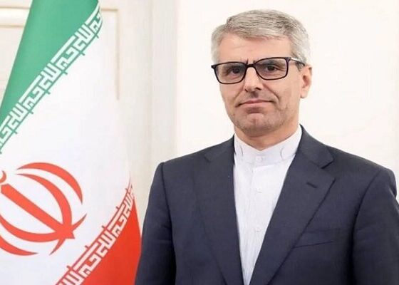بقائی: آمریکا نمی‌تواند جنایت شرم آور میناب را مخفی کند