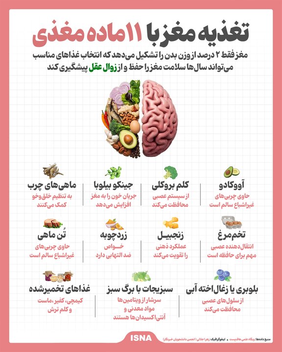 تغذیه مغز با ۱۱ ماده مغذی+اینفوگرافیک تغذیه مغز با ۱۱ ماده مغذی+اینفوگرافیک