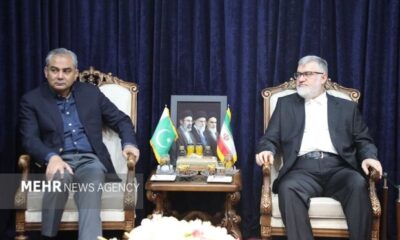 تهران حلقه پیوند دیپلماسی همسایگی و همکاری‌های اقتصادی با پاکستان است