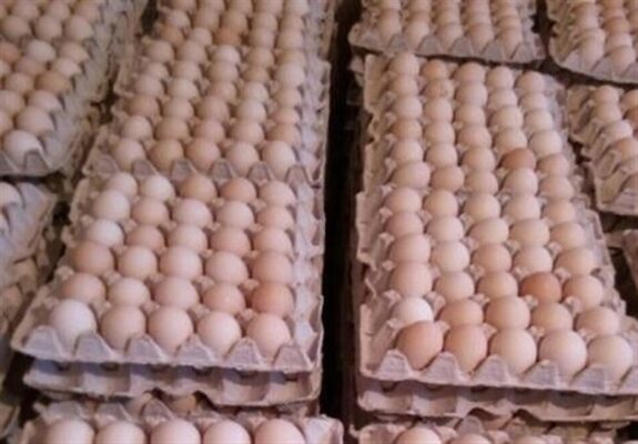 توسعه بزرگترین سایت تولید تخم‌مرغ دنیا با 12 میلیون قطعه در گلستان