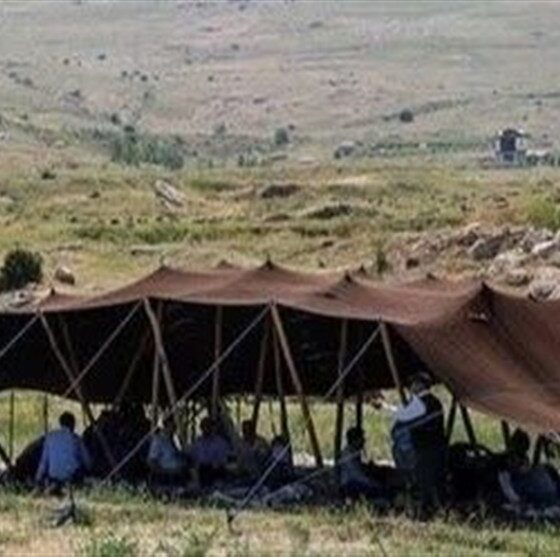 جامعه عشایری می‌توانند ایران را از واردات گوشت قرمز بی‌نیاز کنند